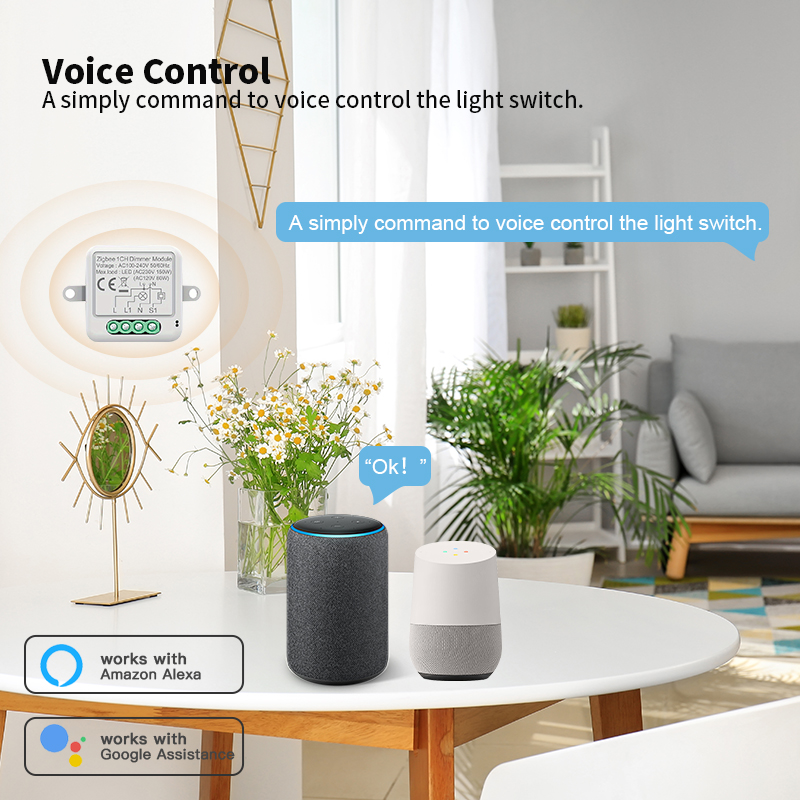 Tuya Zigbee Smart Dimmer Modul - Smart Home Hub 2 recensie en prijs