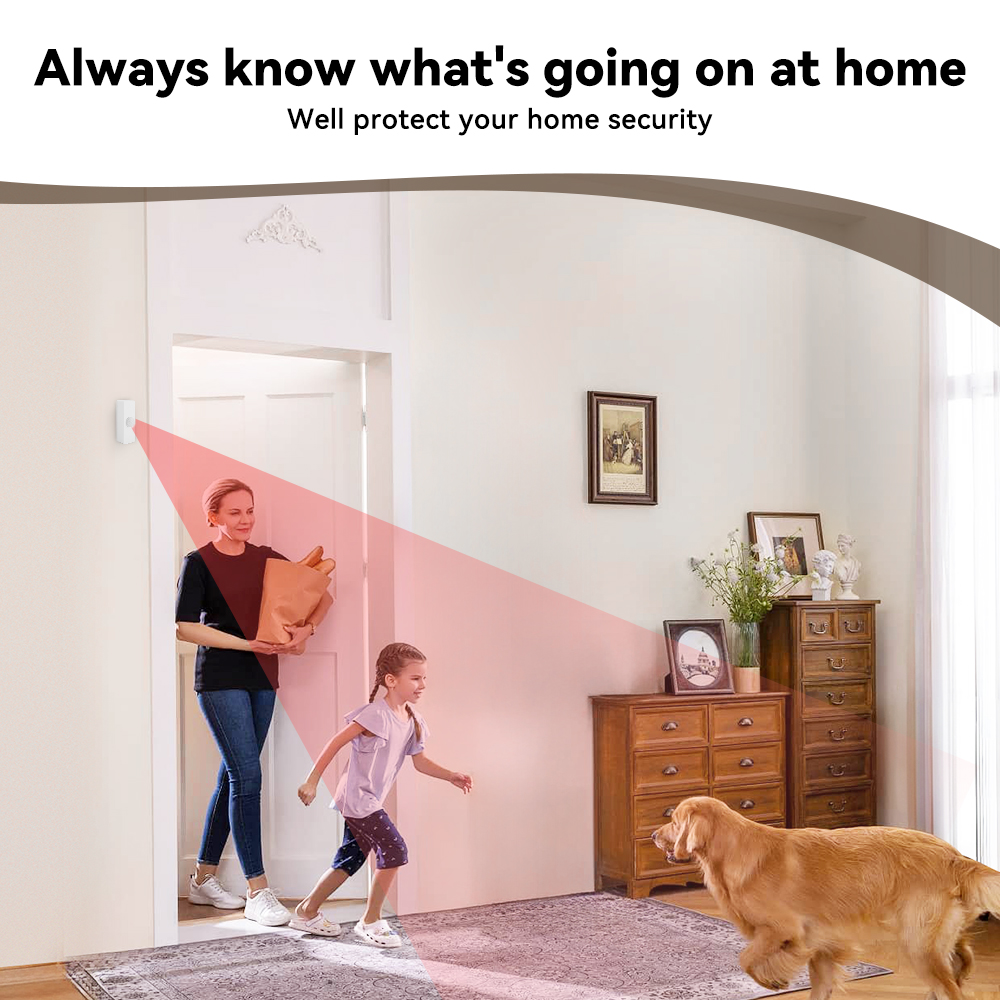Tuya Smart PIR-bewegingssensor - Smart Home Monitor recensie en prijs