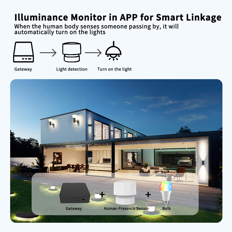Zigbee of Wi-Fi-sensor voor me - Smart Home Monitor recensie en prijs