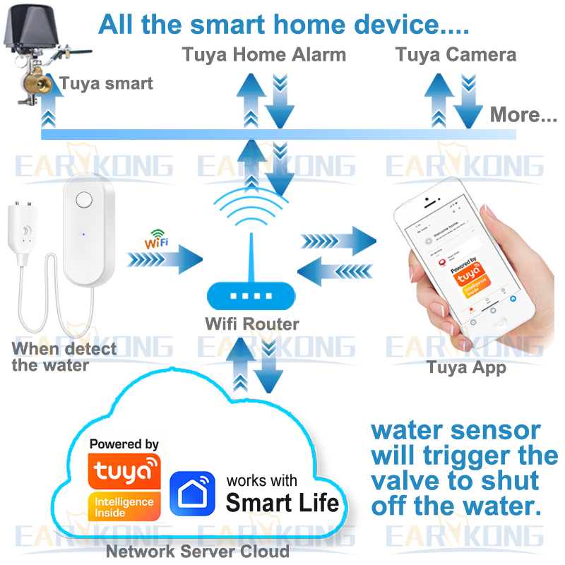 Tuya WiFi Smart Waterleksensor - Wifi Water Sensor recensie en prijs